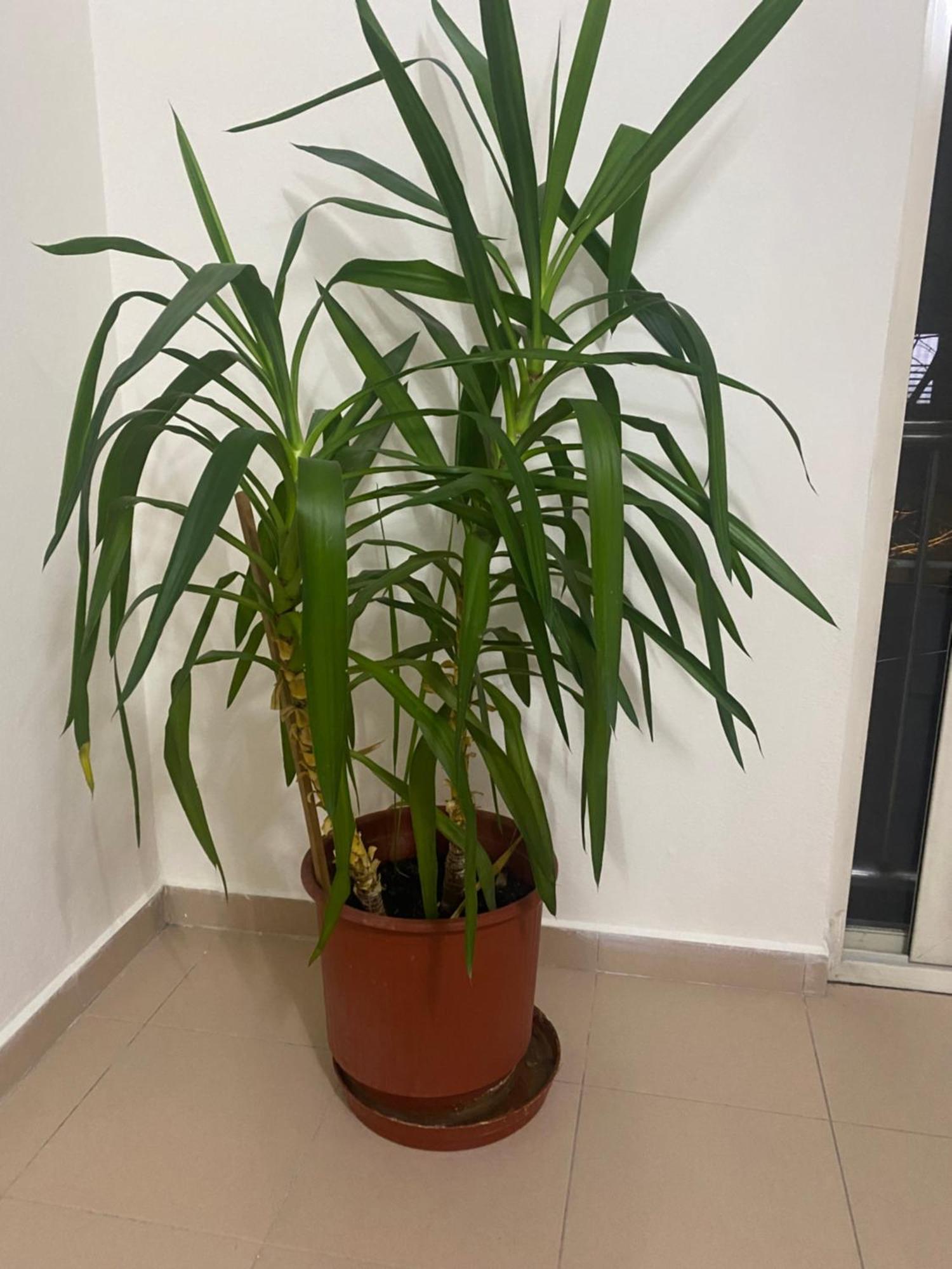 Chlo Apartment 4 Tirane Экстерьер фото